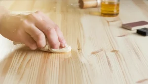 Wood Basics Understanding Species Grain and Finish