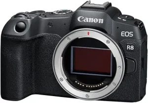 Best Camera for Beginners